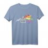 Katze Prisma Regenbogen Licht Lustig Physik Wissenschaft T-Shirt – Buntes Tier-Science-Shirt für Katzen- und Physikliebhaber