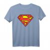 DC Comics Superman Logo T-Shirt - Official Warner Bros Lizenzprodukt für Fans & Sammler