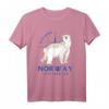 Svalbard Spitzbergen Design Norwegen T-Shirt – Für Norwegen- und Skandinavien-Liebhaber, Polarlichter & Polarregionen