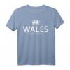 Walisisches T-Shirt mit Drache und Flagge - Funny Welsh Rugby Shirt, Wales Flag Shirt, Geschenk für Welsh Fans, Born in Wales Shirt