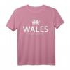 Walisisches T-Shirt mit Drache und Flagge - Funny Welsh Rugby Shirt, Wales Flag Shirt, Geschenk für Welsh Fans, Born in Wales Shirt