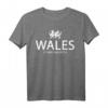 Walisisches T-Shirt mit Drache und Flagge - Funny Welsh Rugby Shirt, Wales Flag Shirt, Geschenk für Welsh Fans, Born in Wales Shirt