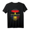 Deutsch gewachsene rumänische Wurzeln Rumänien Balkan Flagge T-Shirt – Kulturelles und patriotisches Geschenk für deutsche Rumänen