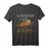 Faultier Meine Motivation und Ich lustiges Chill Faul-Tier Kurzarm T-Shirt – Perfektes Geschenk für Entspannungs- und Chill-Fans