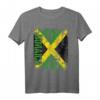 Jamaika Flagge T-Shirt für Damen, Herren & Kinder – Klassisch geschnitten, doppelt genähter Saum