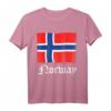 Norwegische Flagge Geschenkidee T-Shirt – Perfekt für Norwegen Liebhaber, Wandern, Skifahren & Wikinger Fans