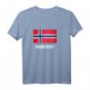 Norwegischer Flaggen Pullover Hoodie - Distressed Norway Design, Perfekt als Geschenk für Norwegen-Fans und Oslo-Reisende