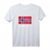 Norwegischer Flaggen Pullover Hoodie - Distressed Norway Design, Perfekt als Geschenk für Norwegen-Fans und Oslo-Reisende