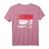 Singapur Flagge T-Shirt | Vintage Grunge Flaggen-Shirt als Geschenk für Reisen, Nationalfeiertage & Souvenirs