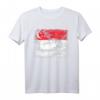 Singapur Flagge T-Shirt | Vintage Grunge Flaggen-Shirt als Geschenk für Reisen, Nationalfeiertage & Souvenirs